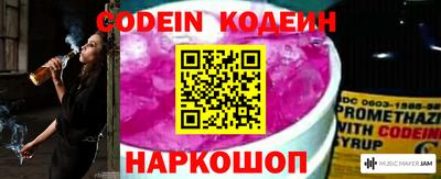 индика Заводоуковск