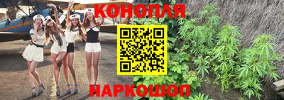 индика Заводоуковск