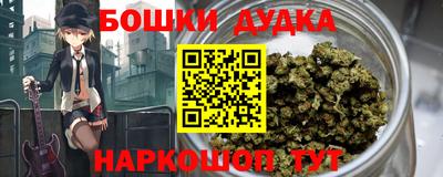 индика Заводоуковск