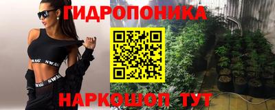 индика Заводоуковск
