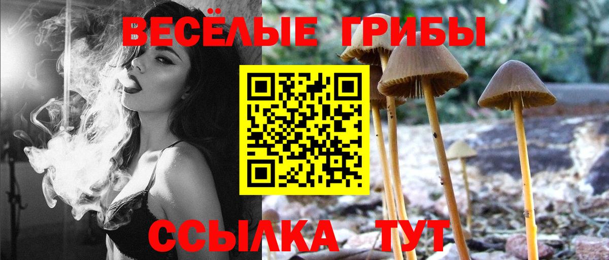 Псилоцибиновые грибы Magic Shrooms Дятьково