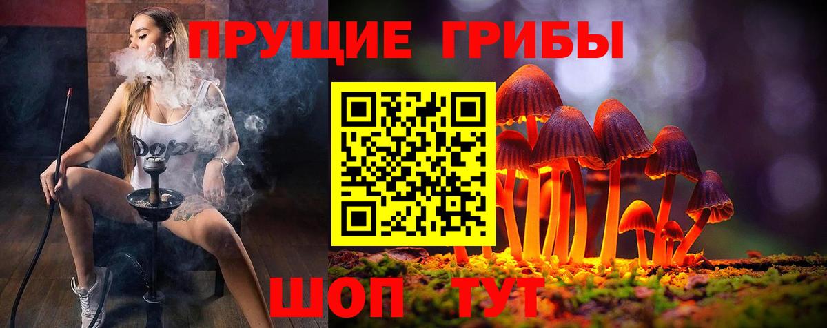 Галлюциногенные грибы Psilocybe  Вход с VPN  Дятьково 